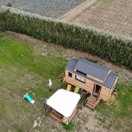 Hotel Tiny House Sur La Presqu'Ile Sauvage Lanmodez Exterior foto